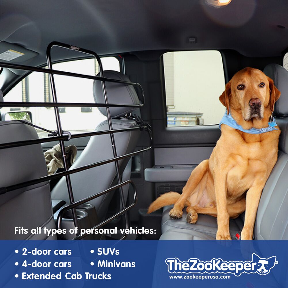 Dog in car with safety barrier