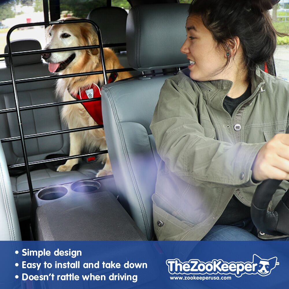 Dog secured in car with barrier