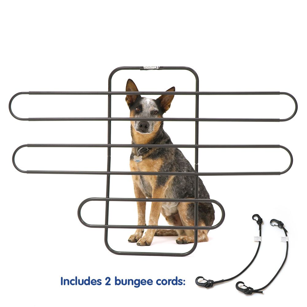 Dog with safety barrier and bungees