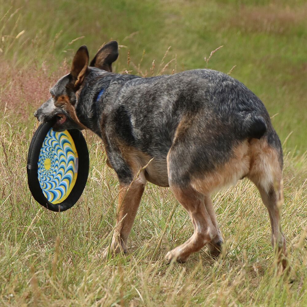 ZooBee Flying Disc Dog Toy. Fly. Float. Fetch.