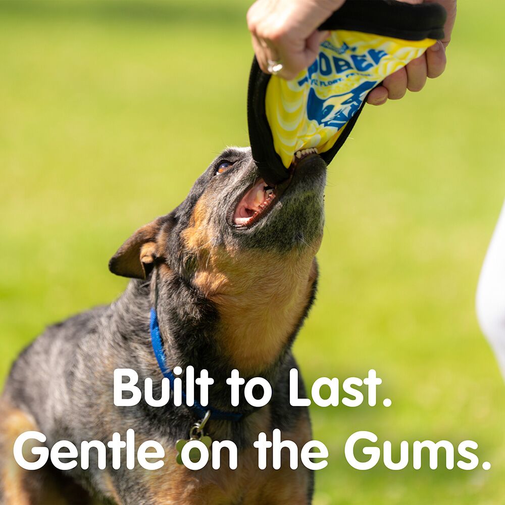 ZooBee Flying Disc Dog Toy. Fly. Float. Fetch. Built to last.