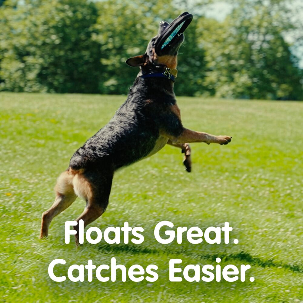 ZooBee Flying Disc Dog Toy. Fly. Float. Fetch. Floats longer