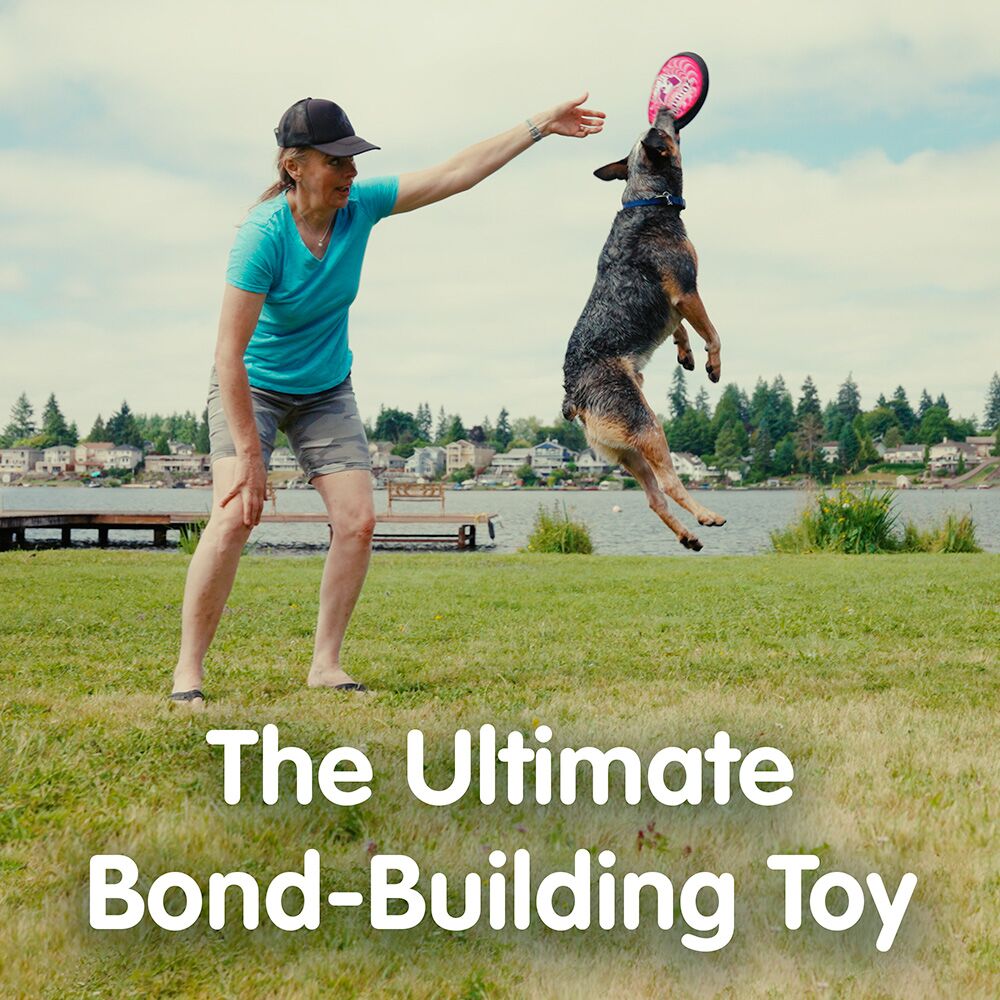 ZooBee Flying Disc Dog Toy. Fly. Float. Fetch.