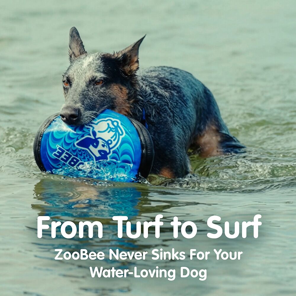 ZooBee™ Floppy Disc™ — Flying Dog Toy - Image 5